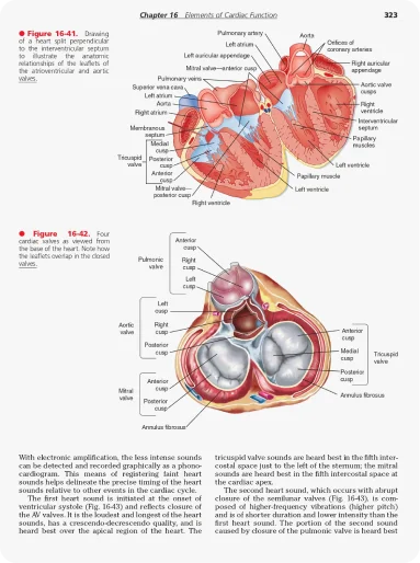 Elements of Cardiac Function