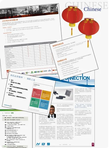 Chinese Language & Cultural Elements